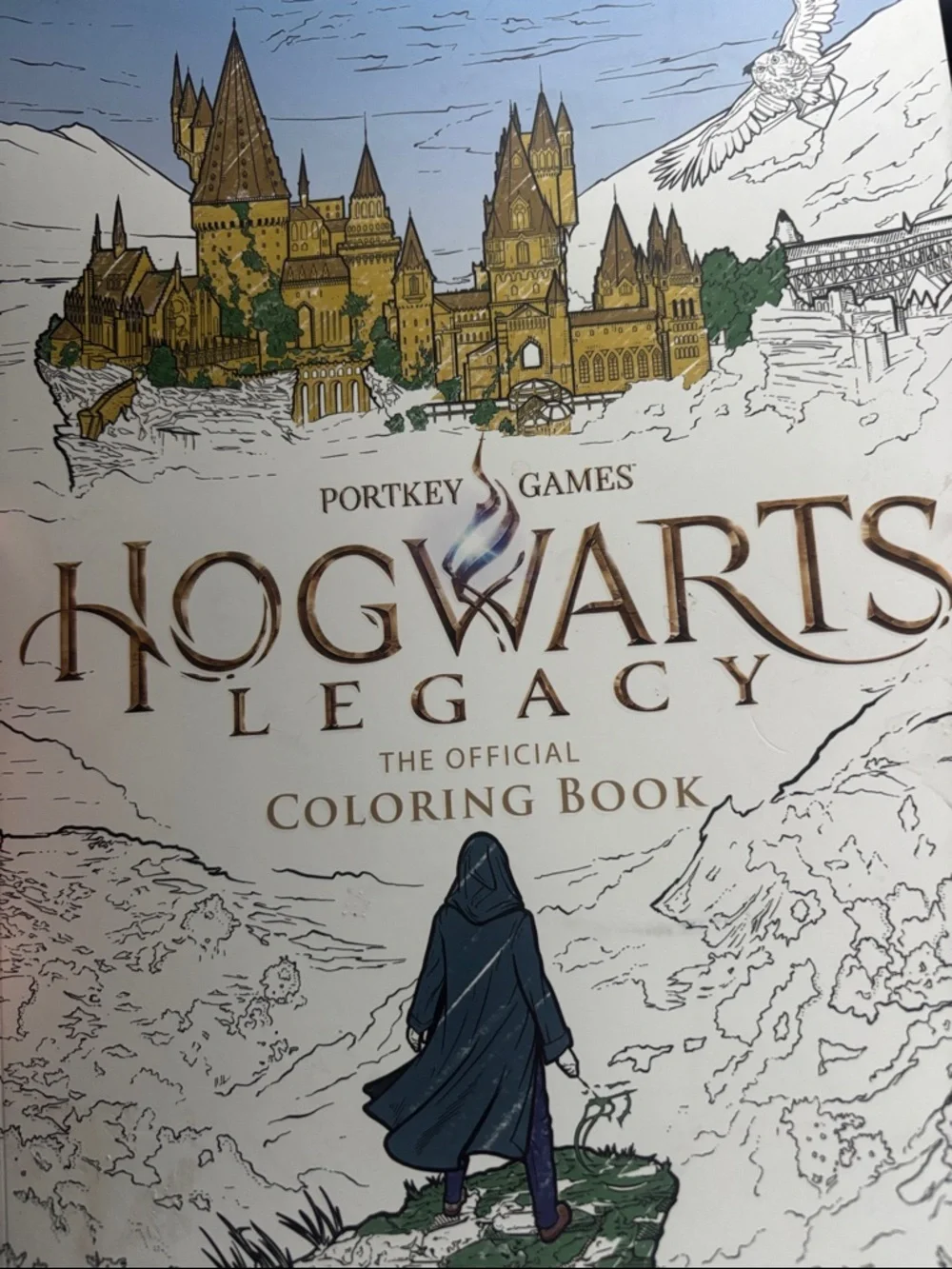 Hogwarts Legacy Official Coloring Book - White & Gold Accents